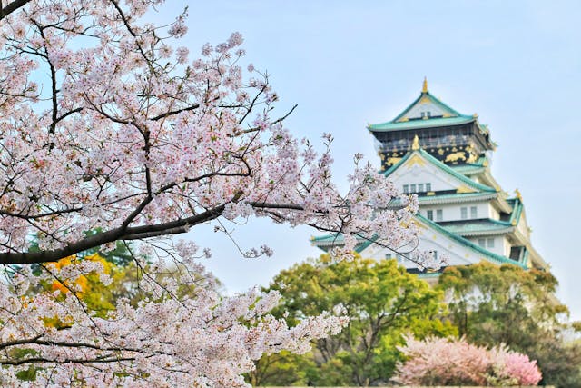 Excel_Trips-_Japan2.jpg