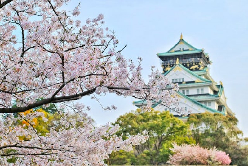13-day Budget Japan Tour